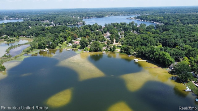4685 Downing Dr, Pinckney, MI 48169 - drone / aerial view of a nearby body of water