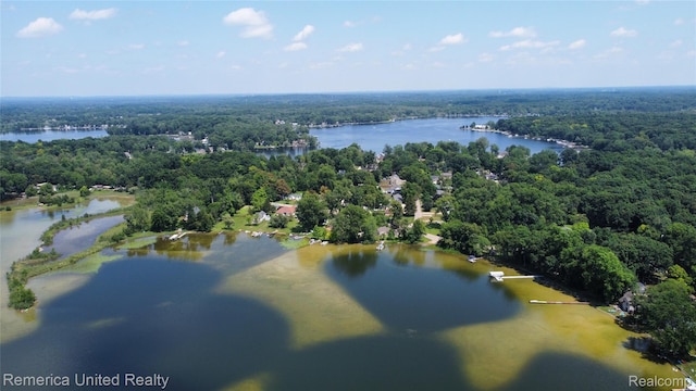 4685 Downing Dr, Pinckney, MI 48169 - bird's eye view of a nearby body of water