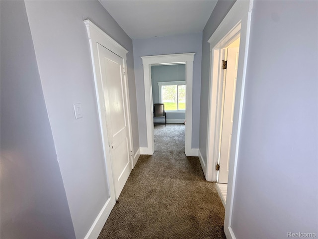 5538 Seebaldt St, Detroit, MI 48204 - photo 15