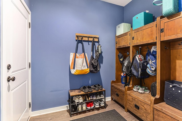 6217 S Trailwoods Dr, Ann Arbor, MI 48103 - mudroom with baseboards and wood finished floors