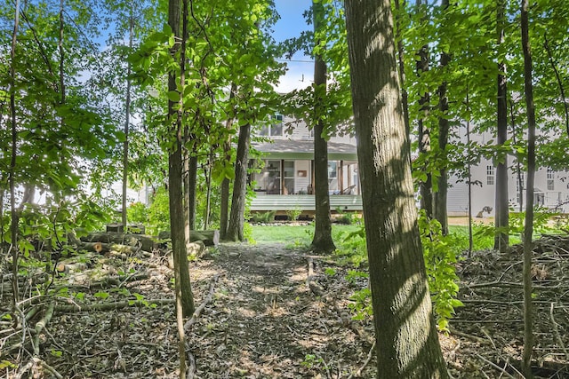 6217 S Trailwoods Dr, Ann Arbor, MI 48103 - view of yard