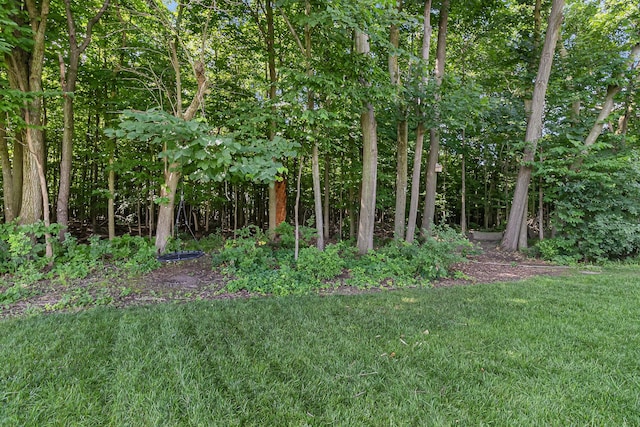 6217 S Trailwoods Dr, Ann Arbor, MI 48103 - view of grassy yard