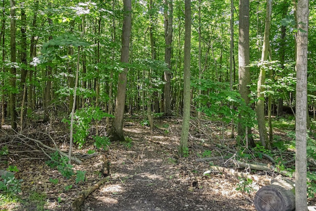 6217 S Trailwoods Dr, Ann Arbor, MI 48103 - view of local wilderness