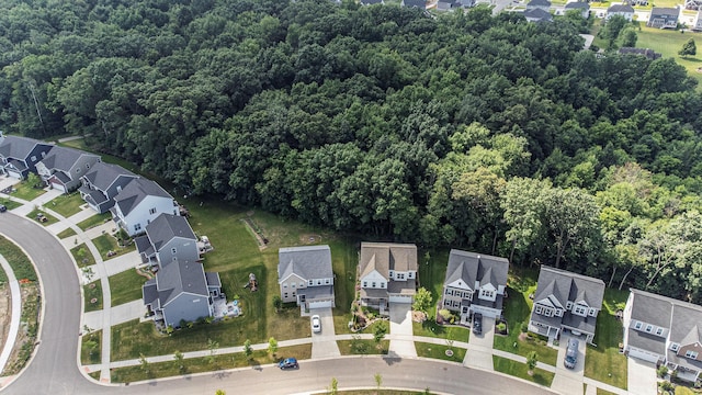 6217 S Trailwoods Dr, Ann Arbor, MI 48103 - aerial view of residential area with a forest