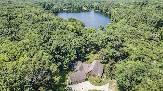 11463 Snowshoe Dr, Plainwell, MI 49080 - view from above of property with a heavily wooded area and a nearby body of water