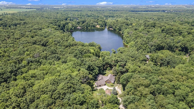 11463 Snowshoe Dr, Plainwell, MI 49080 - bird's eye view of a forest and a nearby body of water