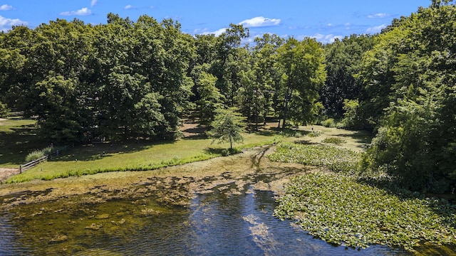11463 Snowshoe Dr, Plainwell, MI 49080 - water view