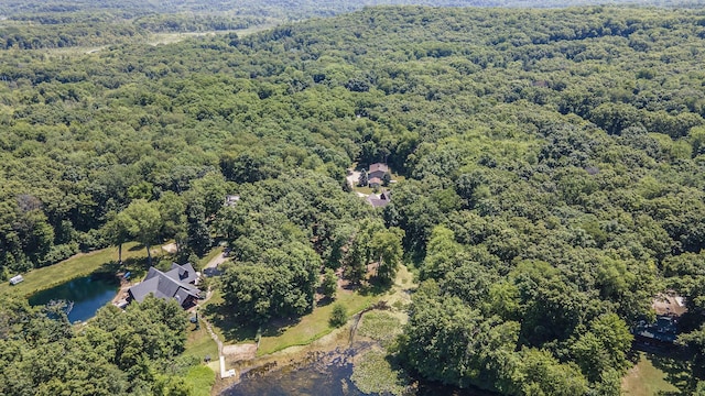 11463 Snowshoe Dr, Plainwell, MI 49080 - bird's eye view of a heavily wooded area