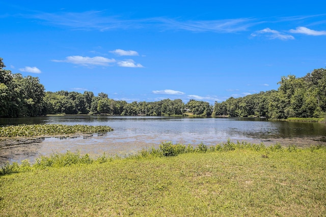 11463 Snowshoe Dr, Plainwell, MI 49080 - water view with a heavily wooded area