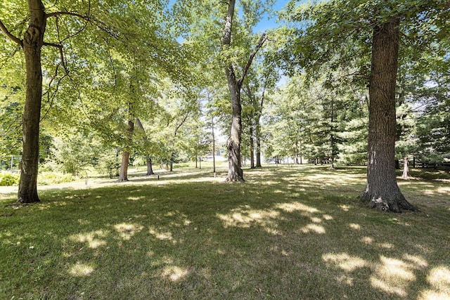 11463 Snowshoe Dr, Plainwell, MI 49080 - view of grassy yard
