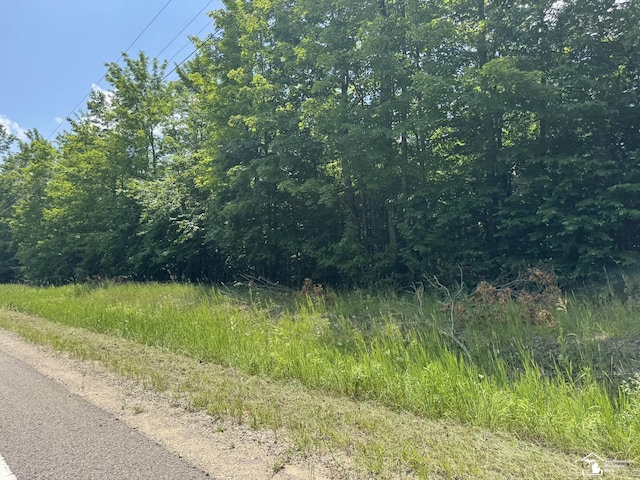 00 Hayes Tower Rd, Gaylord, MI 49735