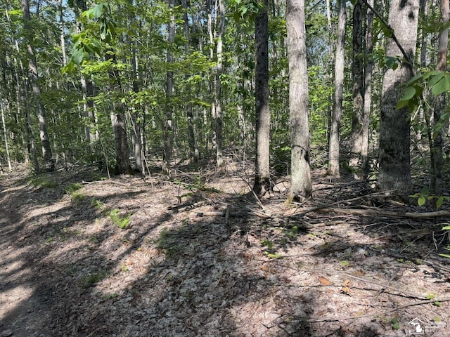 00 Hayes Tower Rd, Gaylord, MI 49735
