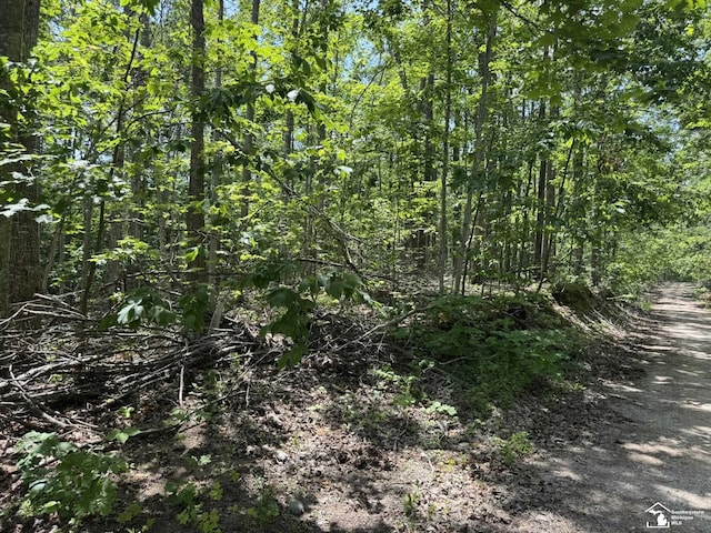 00 Hayes Tower Rd, Gaylord, MI 49735