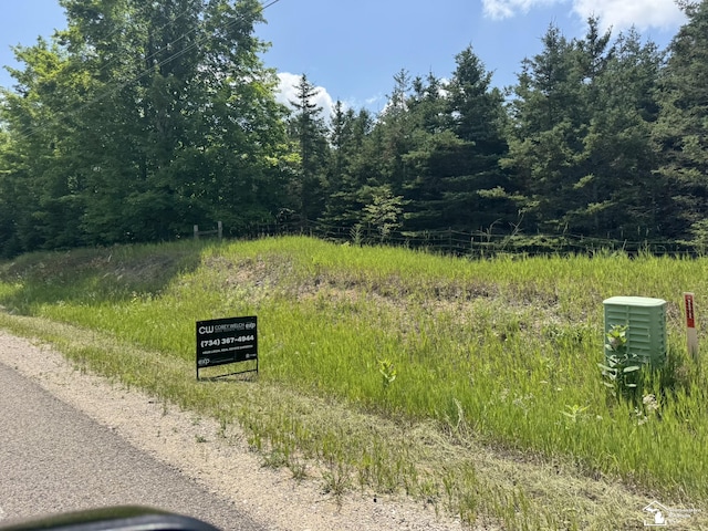 00 Hayes Tower Rd, Gaylord, MI 49735