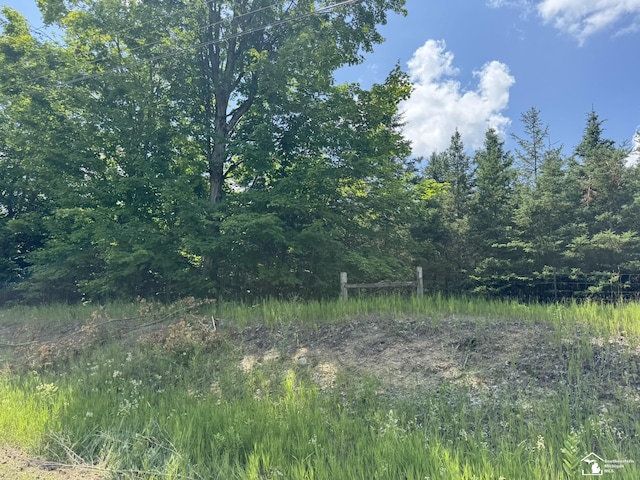 00 Hayes Tower Rd, Gaylord, MI 49735