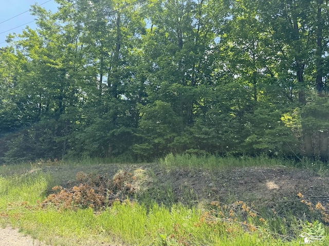 00 Hayes Tower Rd, Gaylord, MI 49735