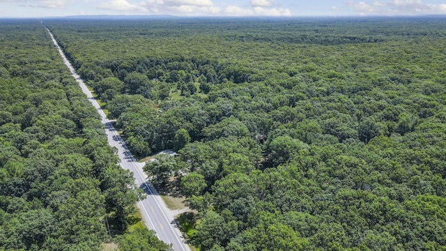2267 Caberfae Hwy, Manistee, MI 49660 - aerial view of a forest