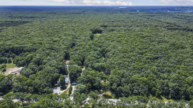 2267 Caberfae Hwy, Manistee, MI 49660 - bird's eye view of a heavily wooded area