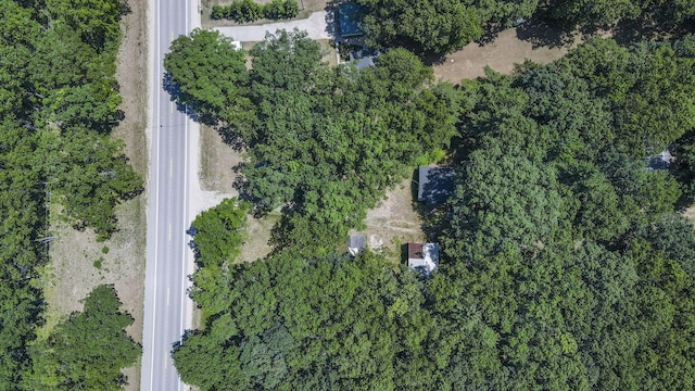 2267 Caberfae Hwy, Manistee, MI 49660 - aerial overview of property's location
