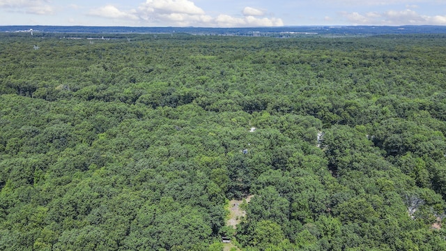 2267 Caberfae Hwy, Manistee, MI 49660 - aerial view of a heavily wooded area