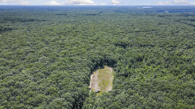 2267 Caberfae Hwy, Manistee, MI 49660 - aerial view of a heavily wooded area