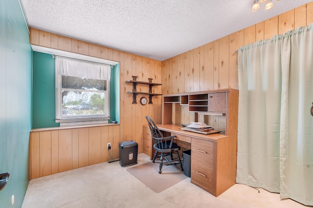 18165 Shamrock Blvd, Big Rapids, MI 49307 - carpeted office with wooden walls and a textured ceiling