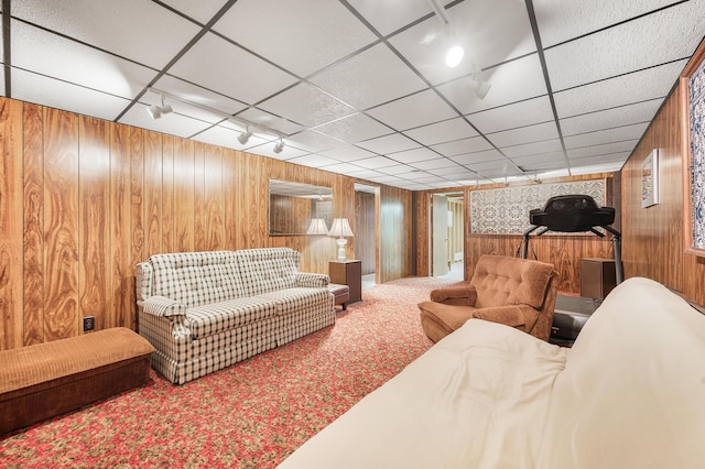 18165 Shamrock Blvd, Big Rapids, MI 49307 - carpeted living area with wood walls