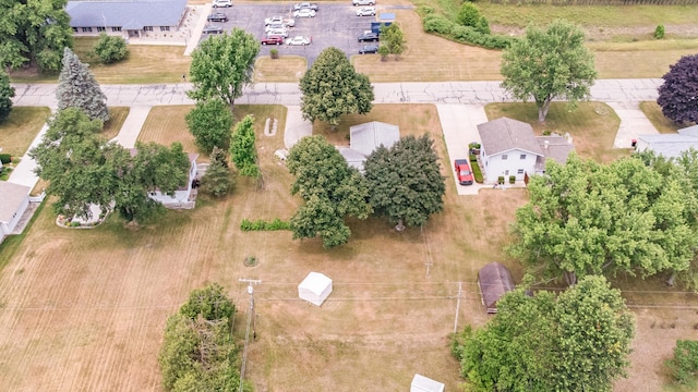18165 Shamrock Blvd, Big Rapids, MI 49307 - bird's eye view