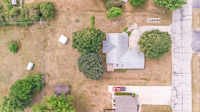 18165 Shamrock Blvd, Big Rapids, MI 49307 - aerial view