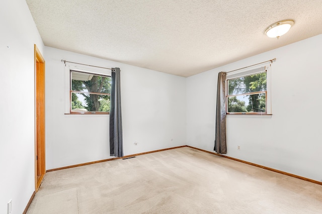 18165 Shamrock Blvd, Big Rapids, MI 49307 - unfurnished room with plenty of natural light, light colored carpet, and a textured ceiling