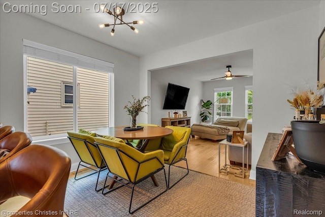 1305 Wyandotte Ave, Royal Oak, MI 48067 - dining room featuring light wood-style flooring, a chandelier, and a ceiling fan