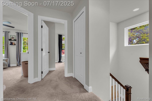 1305 Wyandotte Ave, Royal Oak, MI 48067 - hallway featuring an upstairs landing and carpet floors