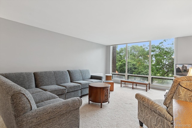 20 Chestnut St Unit 305, Wyandotte, MI 48192 - photo 7