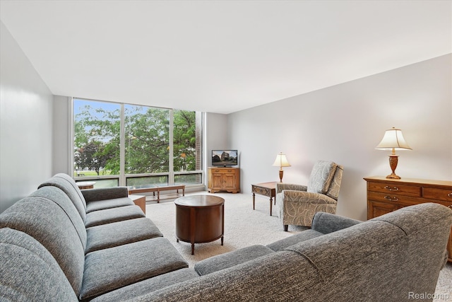 20 Chestnut St Unit 305, Wyandotte, MI 48192 - photo 8