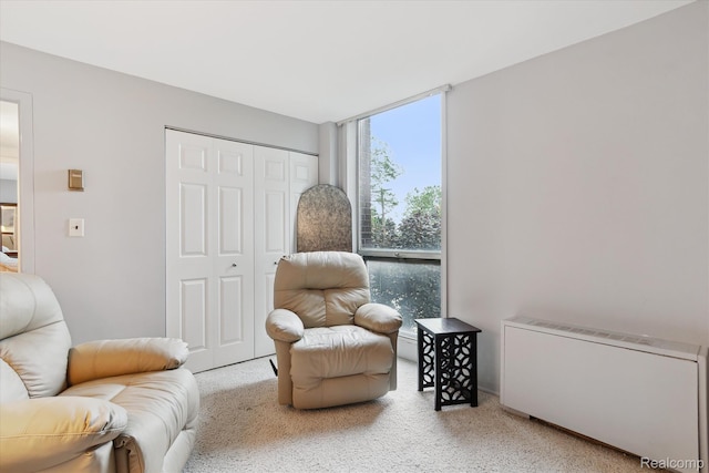 20 Chestnut St Unit 305, Wyandotte, MI 48192 - photo 16