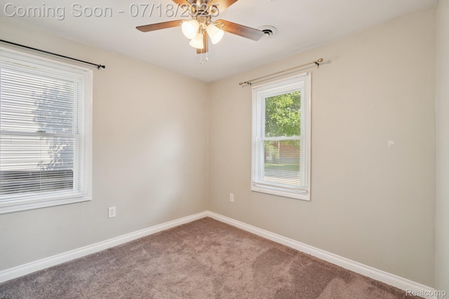135 E Guthrie Ave, Madison Heights, MI 48071 - photo 14