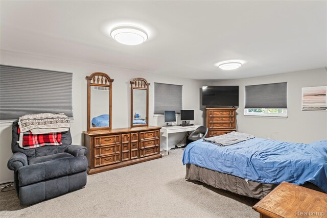 14154 Hubbell St, Livonia, MI 48154 - photo 22