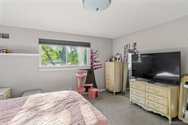 14154 Hubbell St, Livonia, MI 48154 - photo 28
