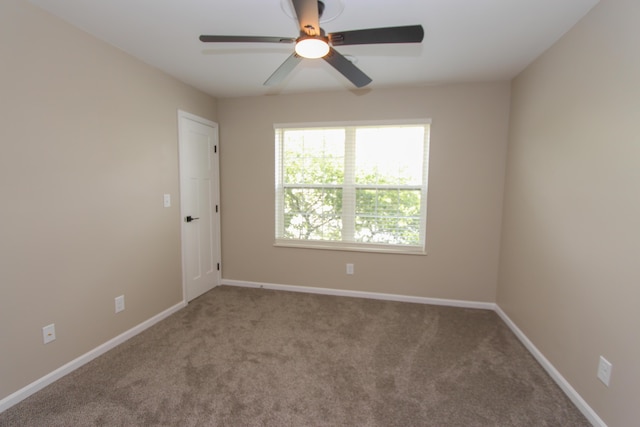 3216 E Morgan Creek Ct, Indiana, IN 46385 - carpeted spare room featuring a ceiling fan and baseboards