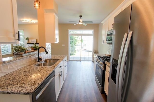3216 E Morgan Creek Ct, Indiana, IN 46385 - kitchen with appliances with stainless steel finishes, dark wood finished floors, ceiling fan, and plenty of natural light