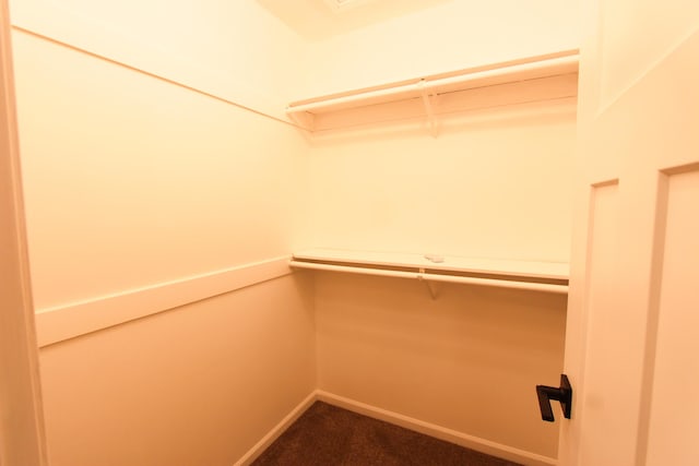 3216 E Morgan Creek Ct, Indiana, IN 46385 - walk in closet featuring dark carpet