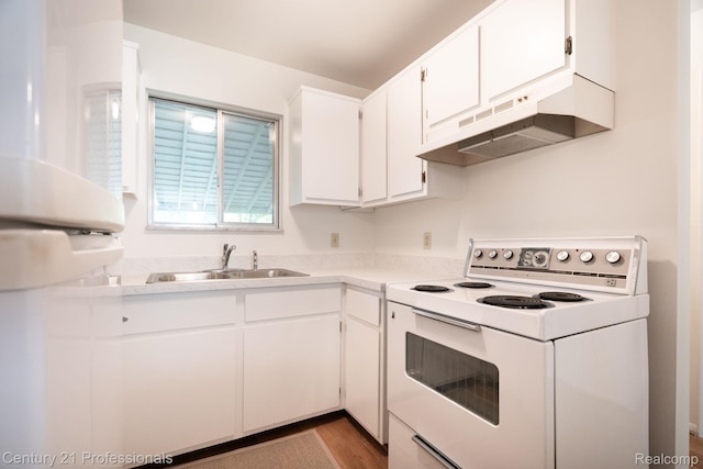 5959 Alan Dr # 56, Brighton, MI 48116 - kitchen with white electric range, under cabinet range hood, white cabinets, light countertops, and wood finished floors