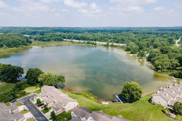 5959 Alan Dr # 56, Brighton, MI 48116 - aerial perspective of suburban area with a large body of water and a forest