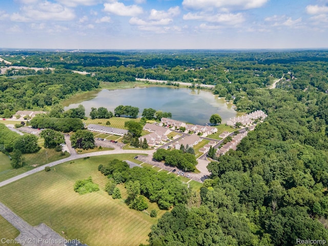 5959 Alan Dr # 56, Brighton, MI 48116 - aerial view of property's location with a nearby body of water and a heavily wooded area