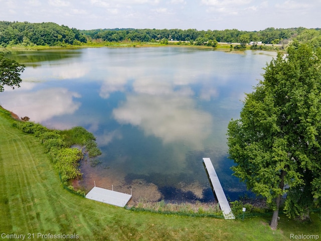 5959 Alan Dr # 56, Brighton, MI 48116 - water view