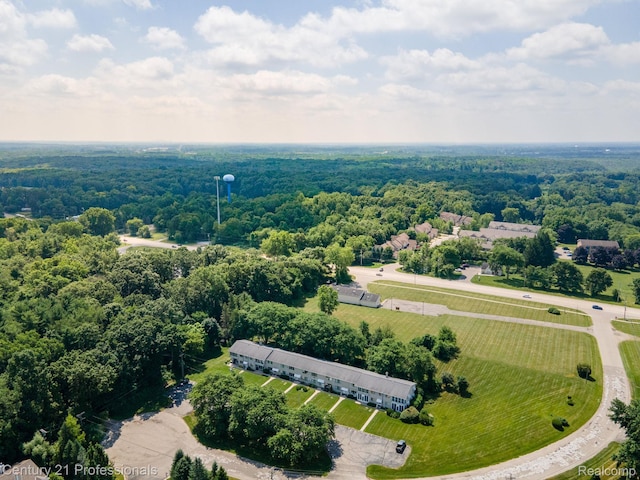 5959 Alan Dr # 56, Brighton, MI 48116 - drone / aerial view