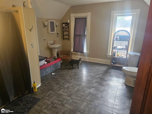 108 N Mercer St, Durand, MI 48429 - full bath featuring vaulted ceiling and a shower with shower curtain