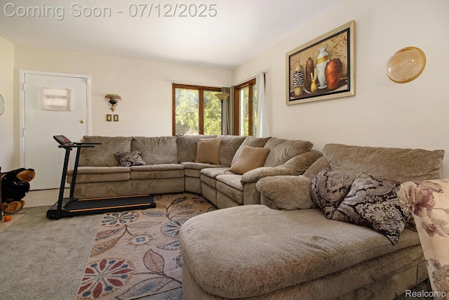26651 Shiawassee Rd, Southfield, MI 48033 - living room with carpet