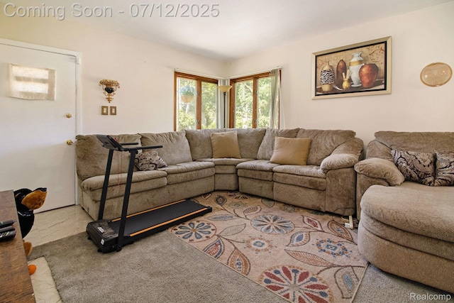 26651 Shiawassee Rd, Southfield, MI 48033 - view of living area