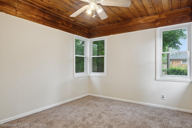 24000 Morton St, Oak Park, MI 48237 - photo 26